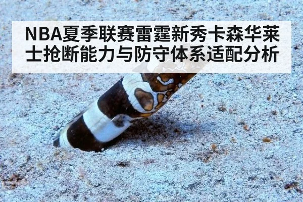 NBA夏季联赛雷霆新秀卡森华莱士抢断能力与防守体系适配分析